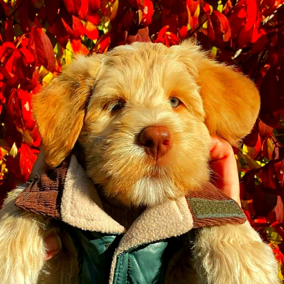 Jewelry Is Art - Picture 1 of 1